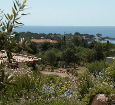 Residence A Rundinella Porto-Vecchio  Eksteriør billede